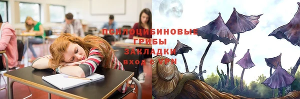 ECSTASY Алексеевка