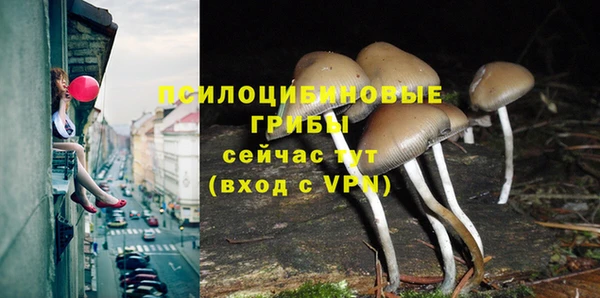 дживик Алексин