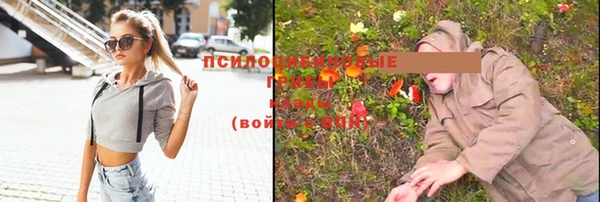 дживик Алексин