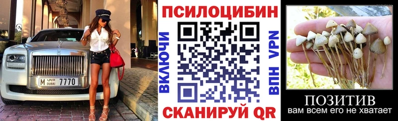 Псилоцибиновые грибы GOLDEN TEACHER  Порхов 