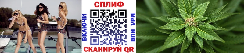 Канабис White Widow Порхов